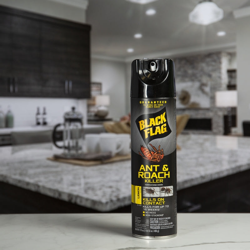 Black Flag Ant and Roach Killer Aerosol 17.5 oz