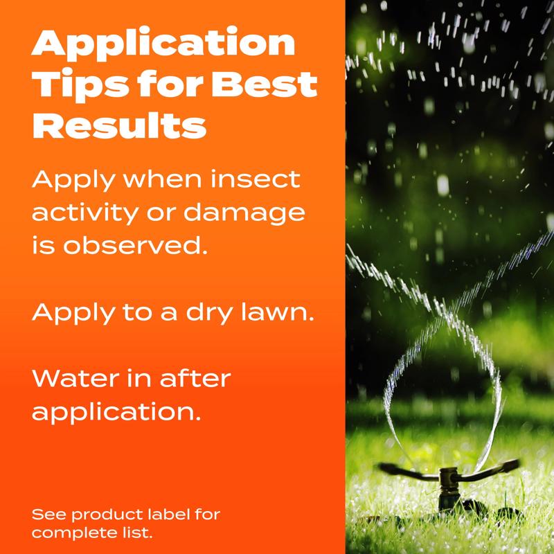 Scotts Turf Builder SummerGuard Insect and Grub Control Lawn Food For All Grasses 5000 sq ft