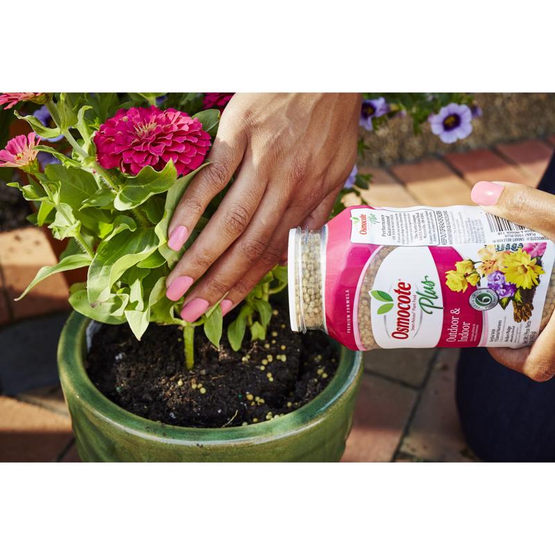 Osmocote Smart-Release Plus Outdoor & Indoor Granules Plant Food 1 lb