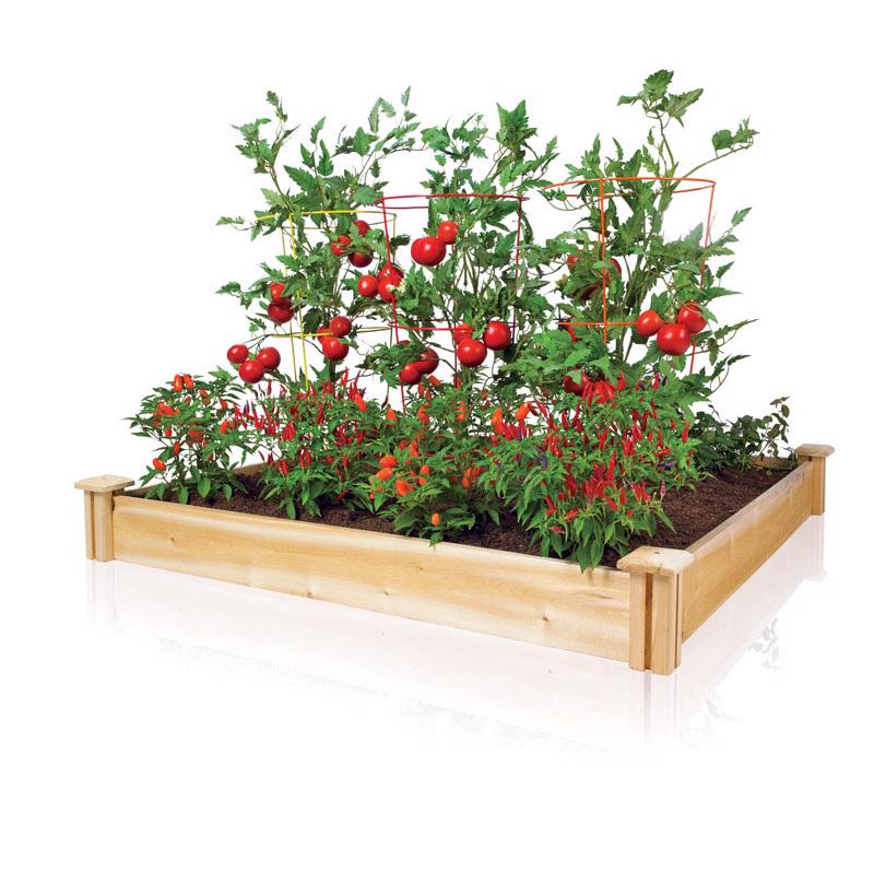 Greenes 5.5 in. H X 48 in. W Cedar Raised Bed Planter Brown