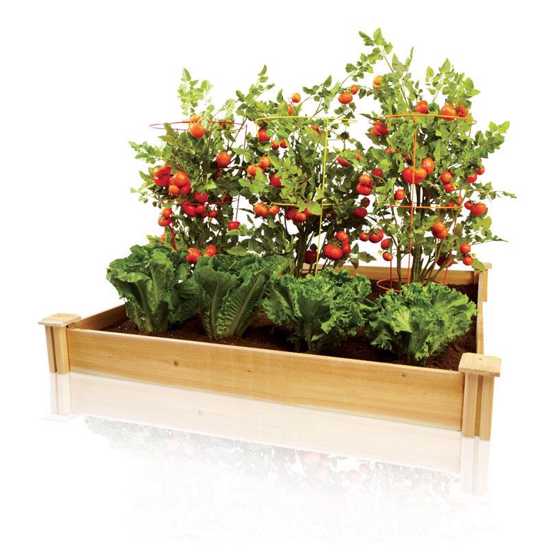 Greenes 5.5 in. H X 48 in. W Cedar Raised Bed Planter Brown