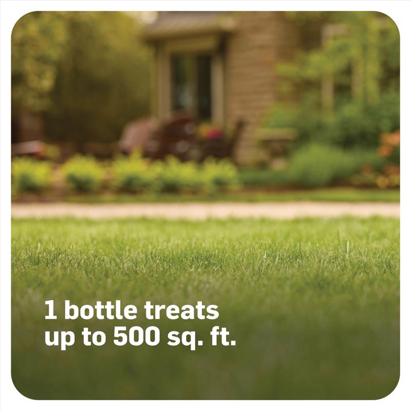 Scotts MossEx Lawn Moss Killer RTS Hose-End Concentrate 32 oz