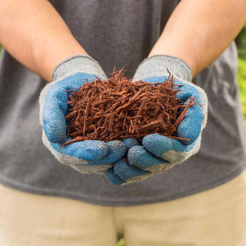 Scotts Nature Scapes Red Bark Color Enhanced Mulch 2 cu ft