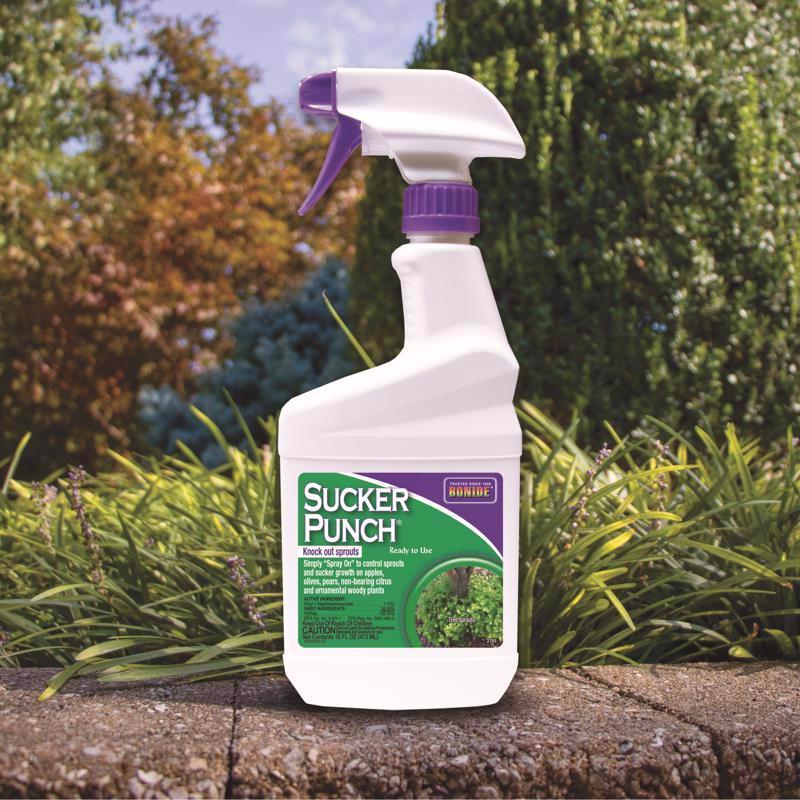 Bonide Sucker Punch Tree Roots Killer RTU Liquid 16 oz