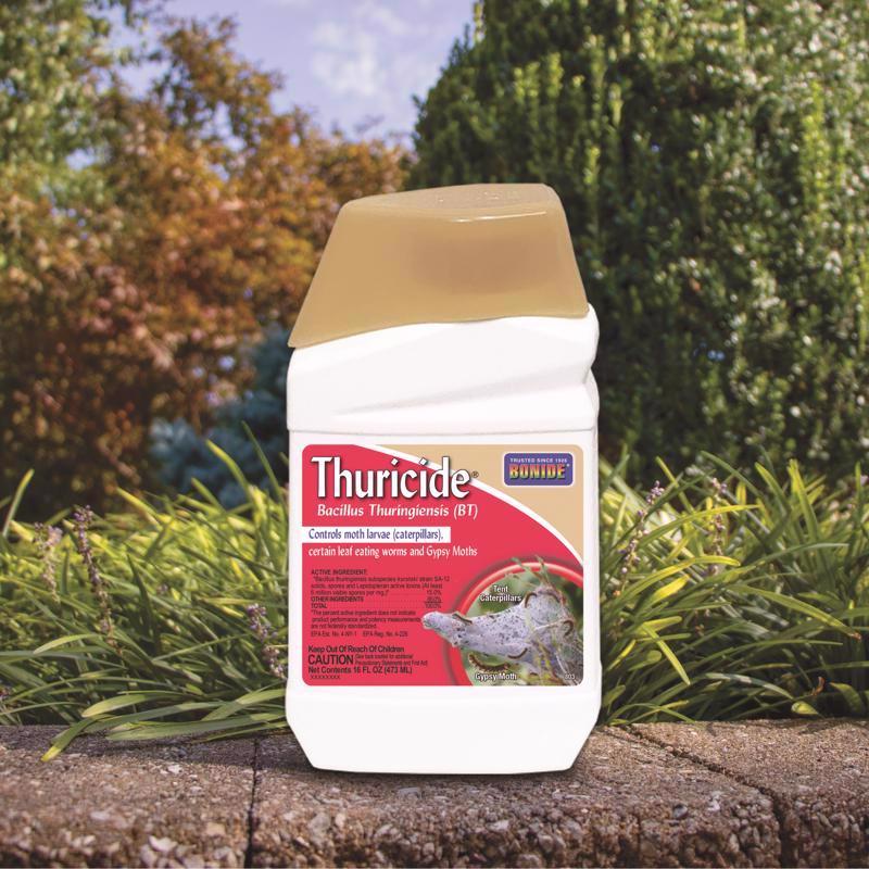 Bonide Thuricide Organic Insect Killer Liquid Concentrate 16 oz