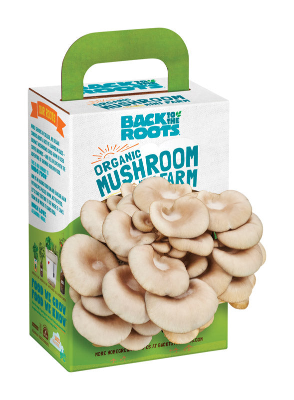 Back to the Roots Mushroom Mini Farm