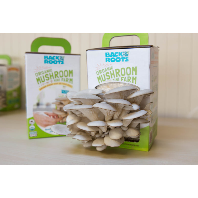 Back to the Roots Mushroom Mini Farm