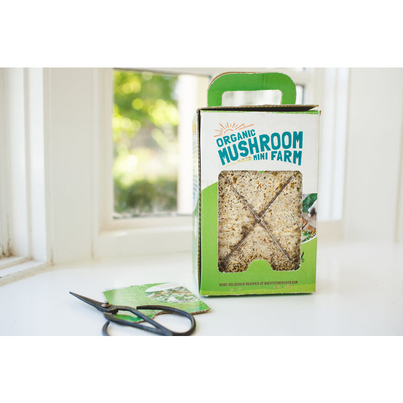 Back to the Roots Mushroom Mini Farm