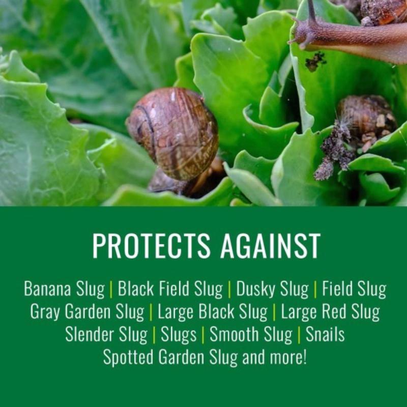 NATRIA Slug and Snail Killer 1.5 lb