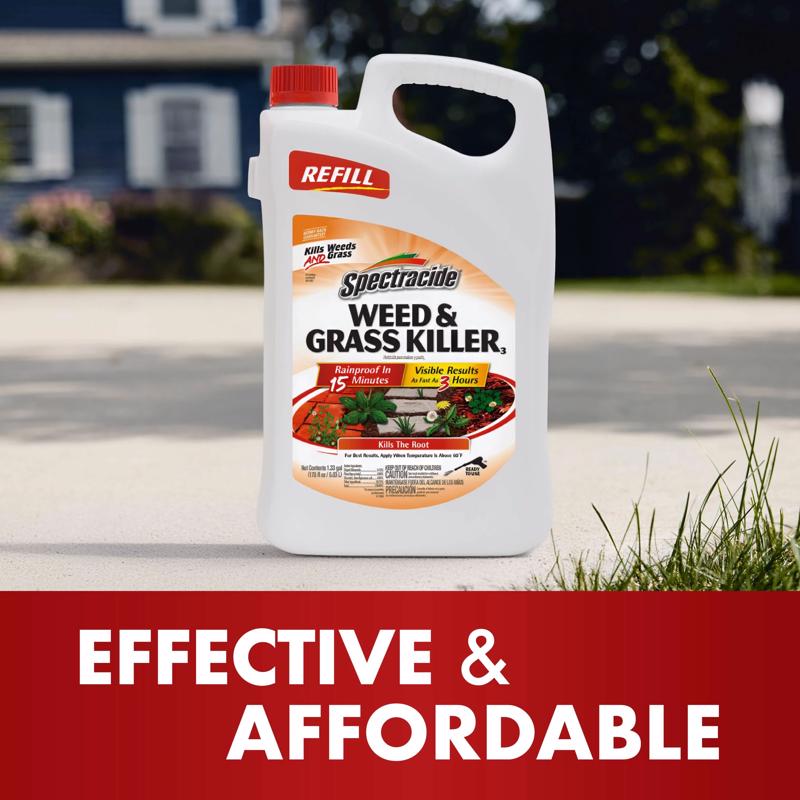 Spectracide Accushot Weed and Grass Killer RTU Liquid 1.33 gal