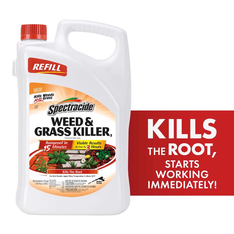 Spectracide Accushot Weed and Grass Killer RTU Liquid 1.33 gal