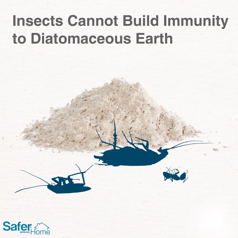 Safer Brand Crawling Insect Killer Dust 4 lb