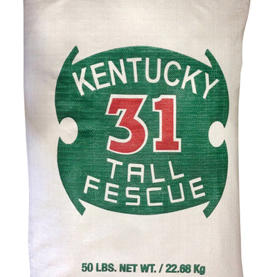 Barenbrug Kentucky 31 Tall Fescue Grass Full Sun/Medium Shade Grass Seed 50 lb
