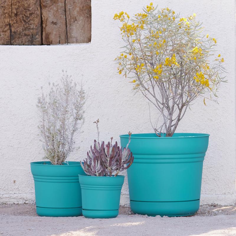 Bloem Saturn 12.75 in. H X 14.5 in. W Resin Traditional Planter Bermuda Teal
