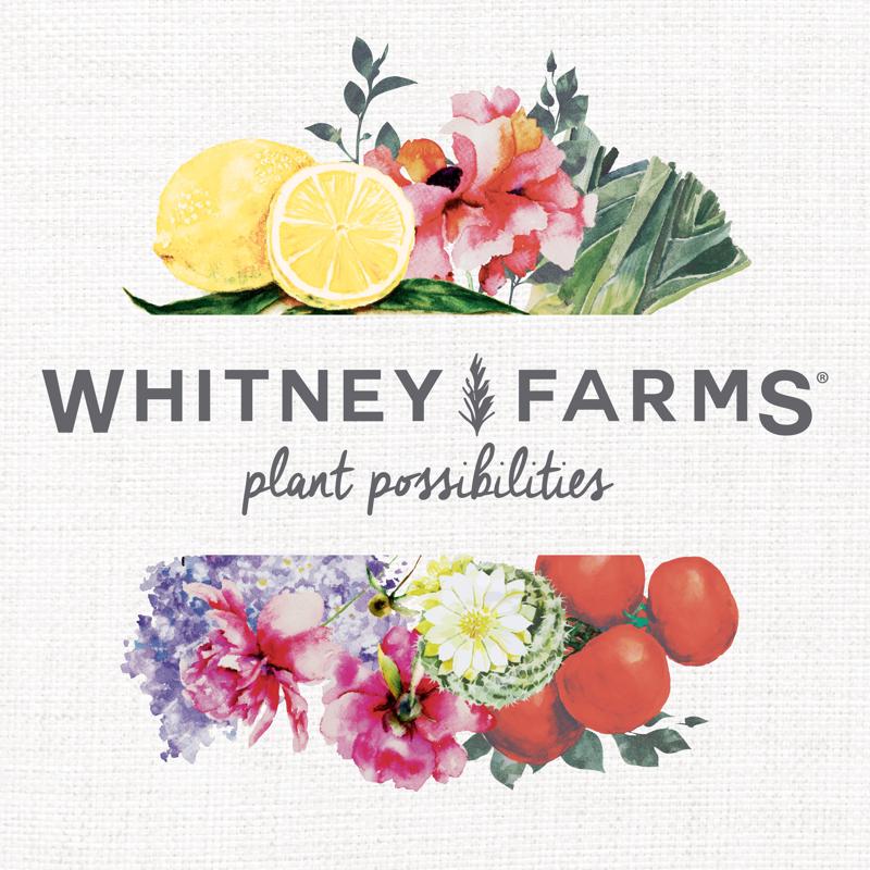 Whitney Farms Organic Fruit and Vegetable Raised Bed Mix 1.5 cu ft