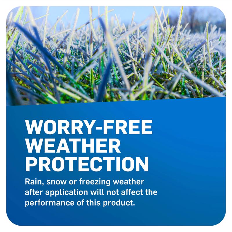 Scotts WeedEx Prevent with Halts Weed Preventer Granules 10 lb