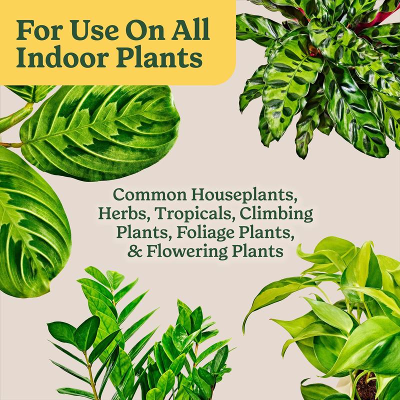 Miracle-Gro Indoor Plant Potting Soil 6 qt