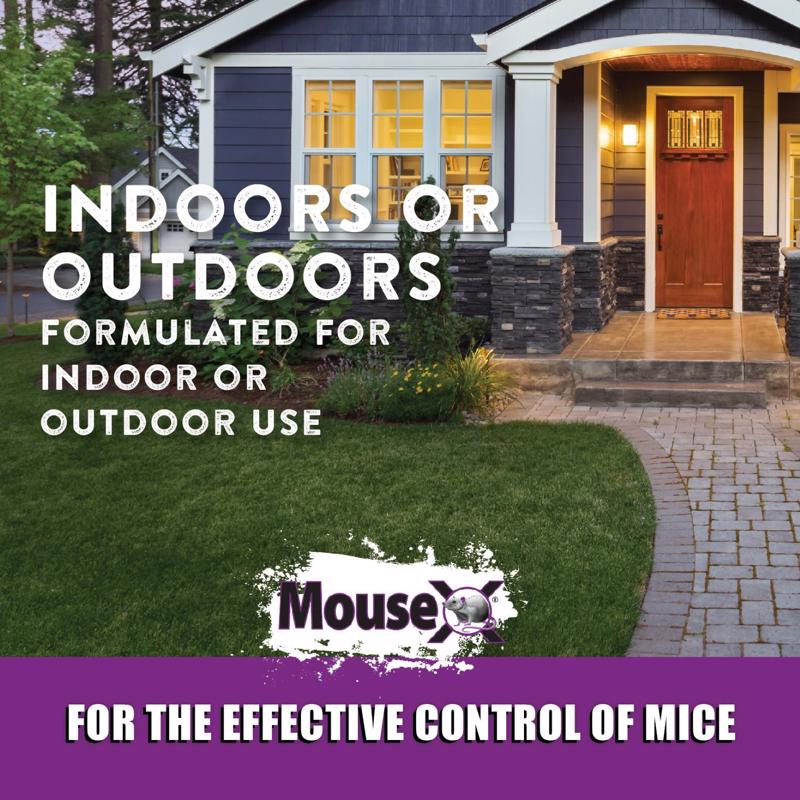 MouseX Non-Toxic Bait Pellets For Mice 1 lb