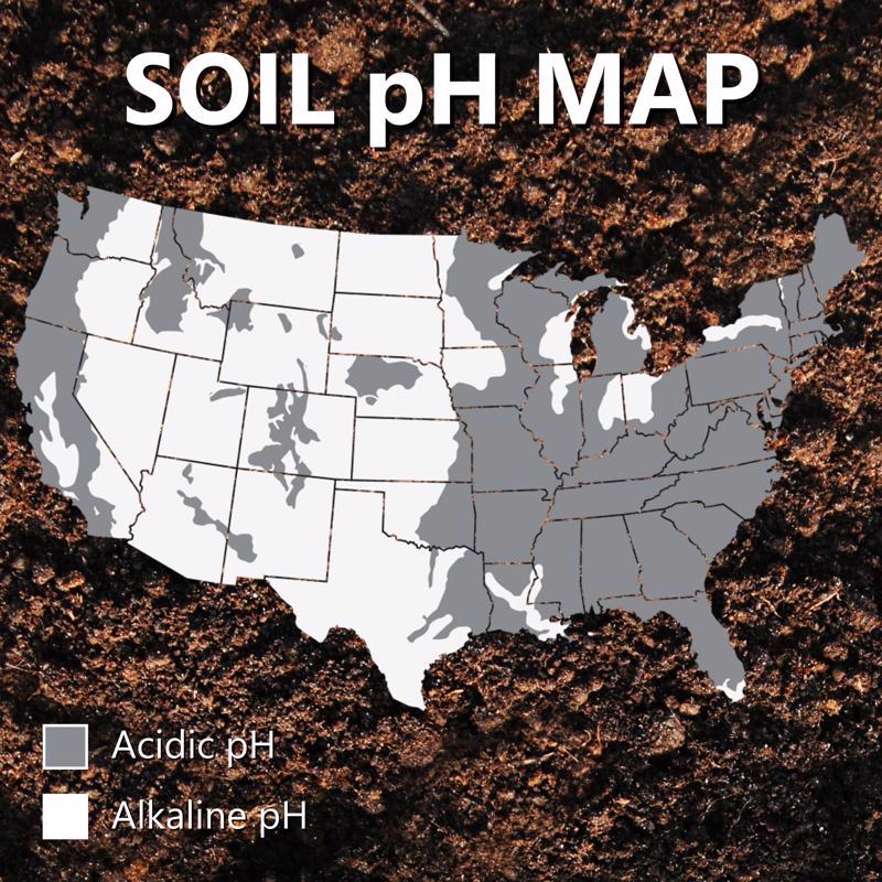 Jonathan Green Mag-I-Cal for Lawns in Acidic Soil Organic Soil Conditioner 5000 sq ft 18 lb