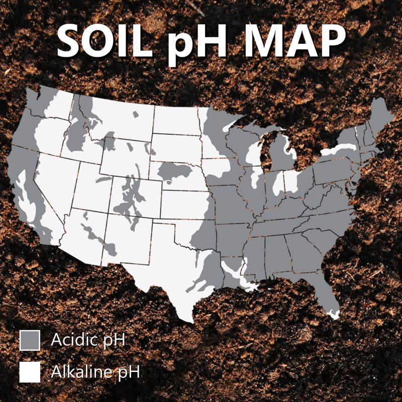 Jonathan Green Mag-I-Cal for Lawns in Acidic Soil Organic Soil Conditioner 15000 sq ft 54 lb