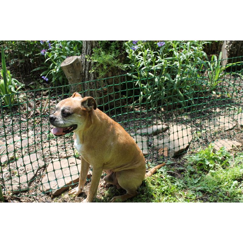 Garden Craft 36 in. H X 25 ft. L Plastic Fencing 2 in.