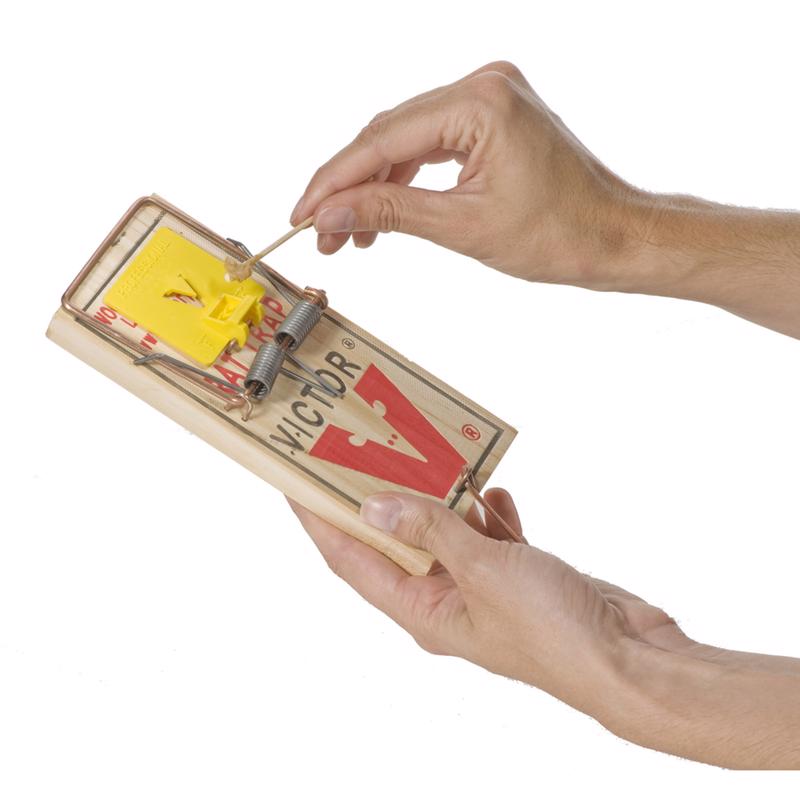 Victor Medium Snap Trap For Rats