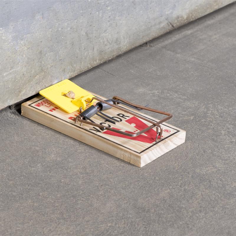 Victor Medium Snap Trap For Rats