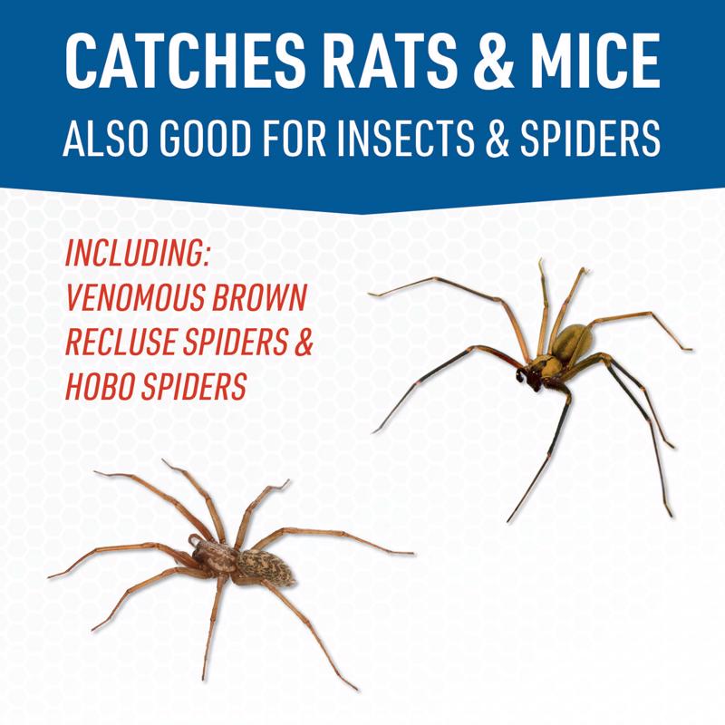 JT Eaton Small Glue Board Trap For Insects and Mice