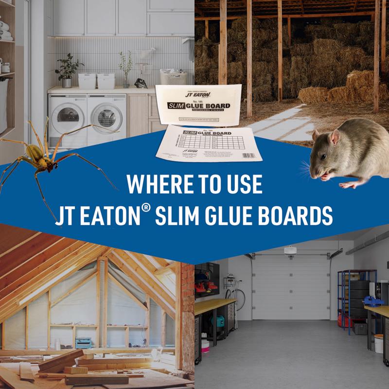 JT Eaton Small Glue Board Trap For Insects and Mice