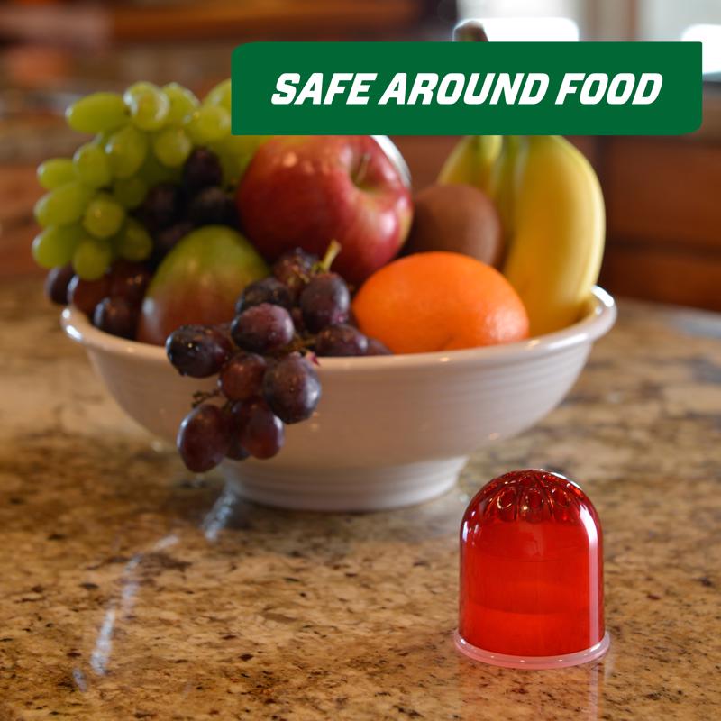 RESCUE! Fruit Fly Trap 0.68 oz