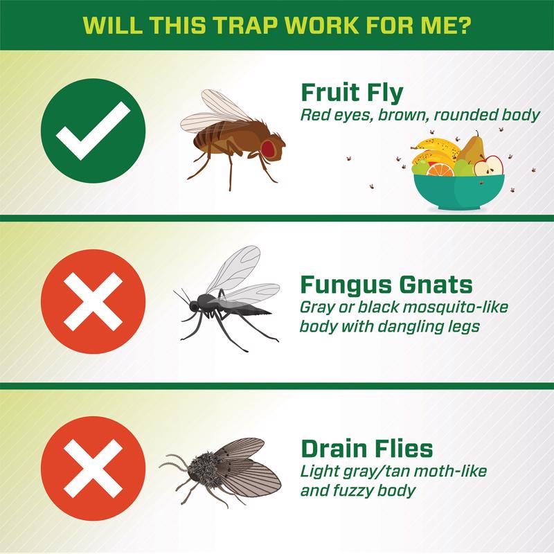 RESCUE! Fruit Fly Trap 0.51 oz