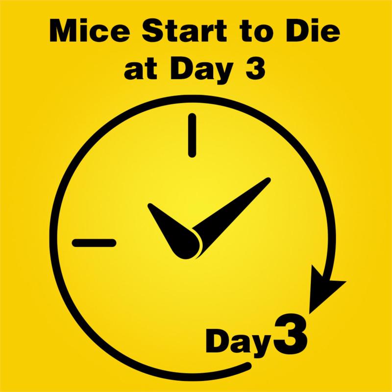 d-CON Animal Repellent Blocks For Mice