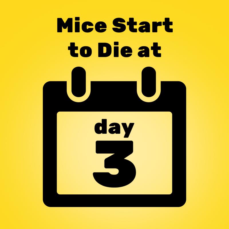 d-CON Bait Station Blocks For Mice