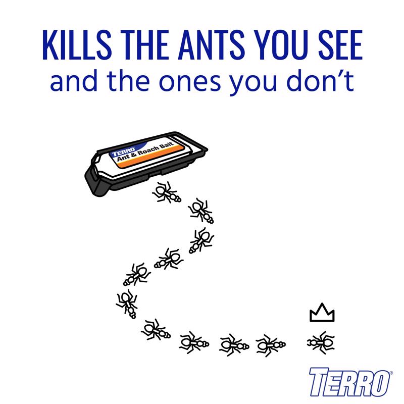 TERRO Ant and Roach Bait Station 4 pk