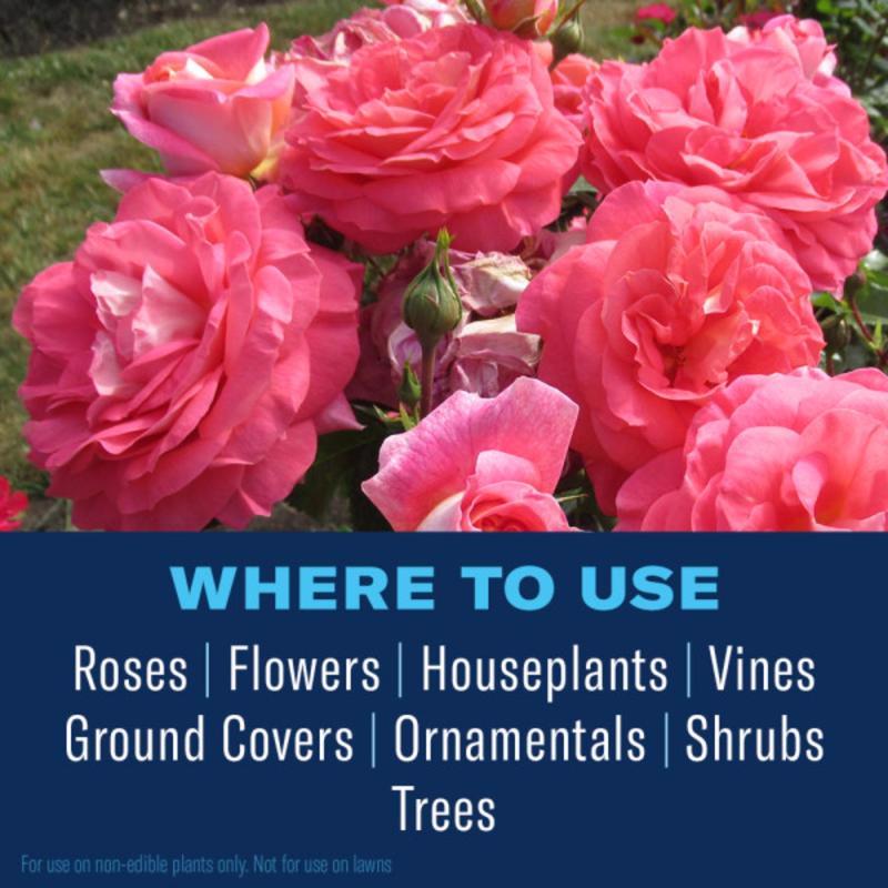 BioAdvanced All-in-One Rose and Flower Care Concentrate 32 oz