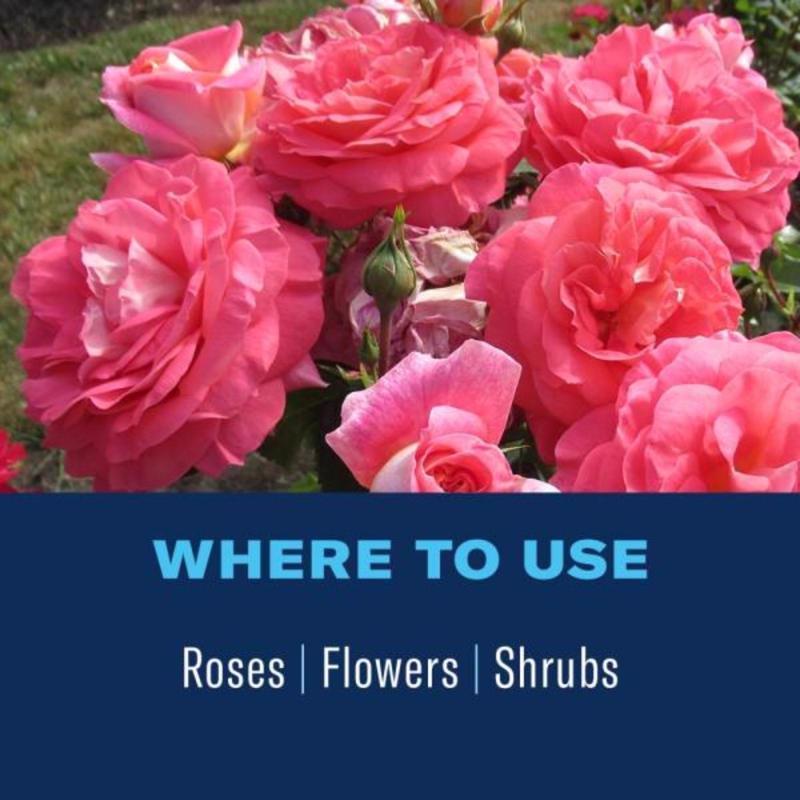 BioAdvanced 2-In-1 Systemic Granules Rose and Flower Plant Food 5 lb