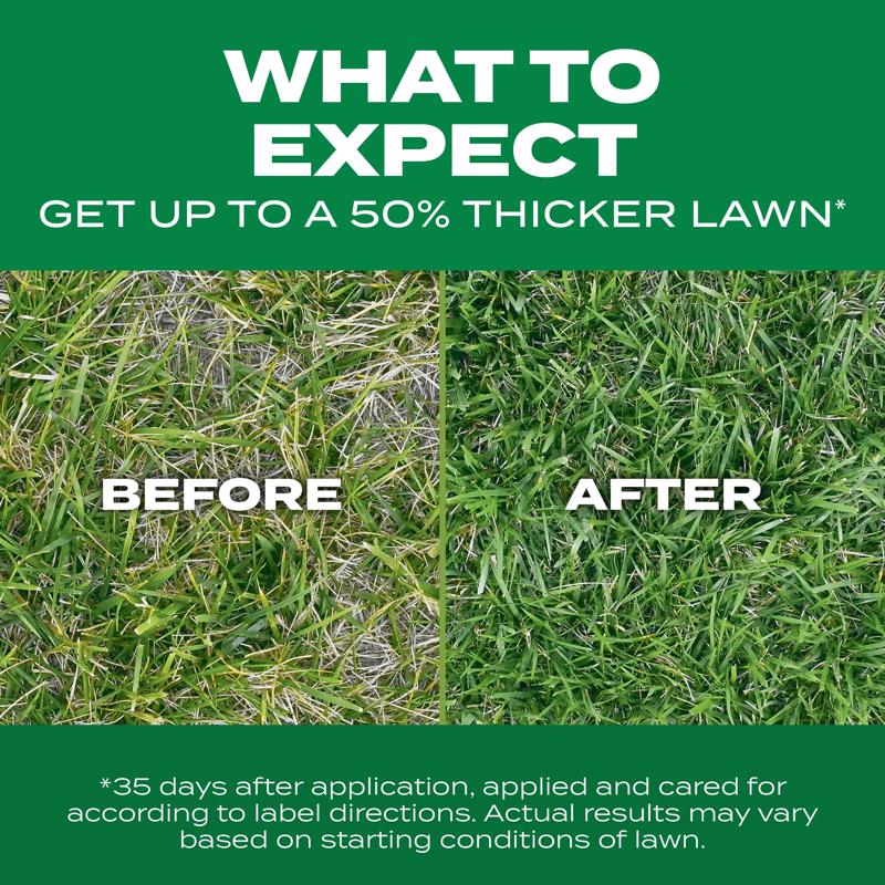 Scotts Turf Builder Tall Fescue Grass Sun or Shade Grass Seed and Fertilizer 12 lb