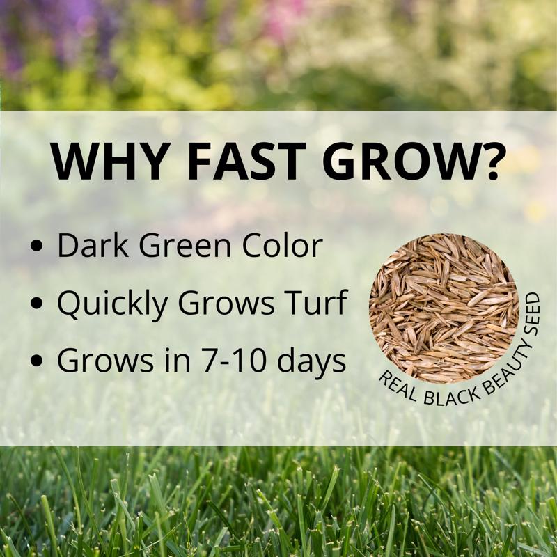 Jonathan Green Fast Grow Mixed Sun or Shade Grass Seed 25 lb