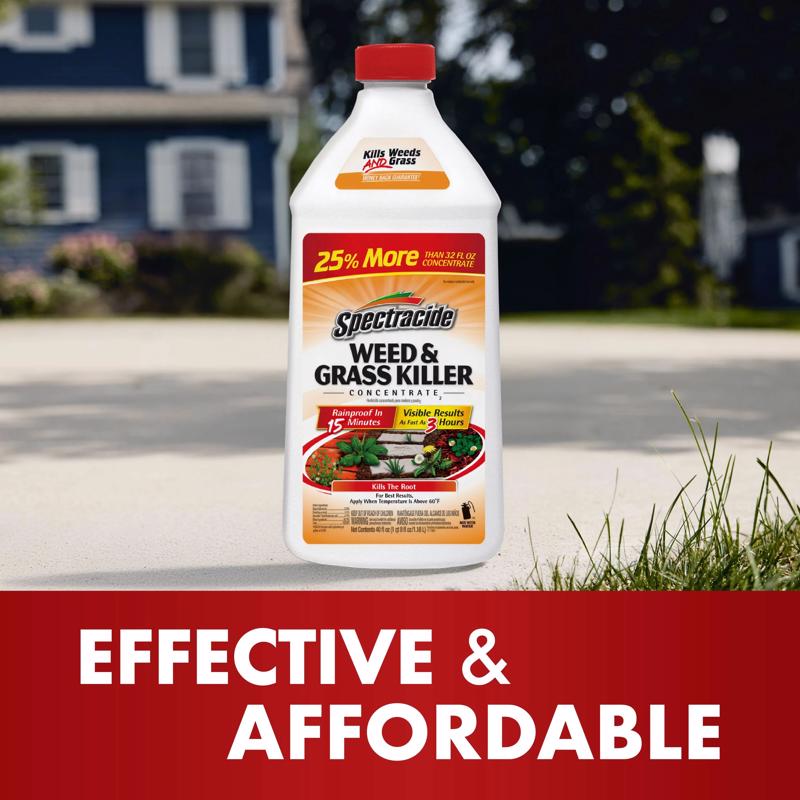 Spectracide Weed and Grass Killer Concentrate 40 oz