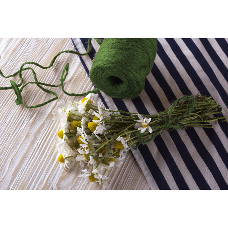 Panacea 0.08 in. W Green Fabric Garden Twine