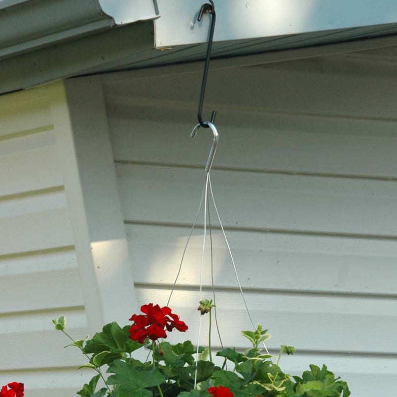 Panacea Vibrant Assorted Steel 12 in. H S-Hook Plant Hanger