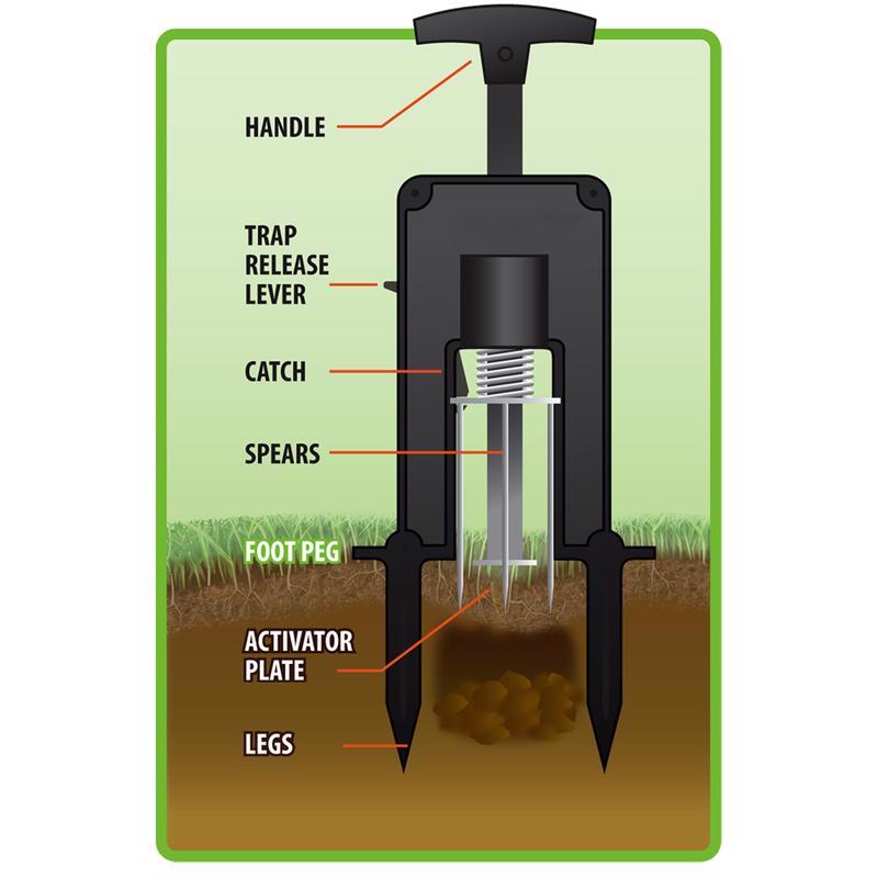 Victor Deadset Medium Plunger Animal Trap For Moles
