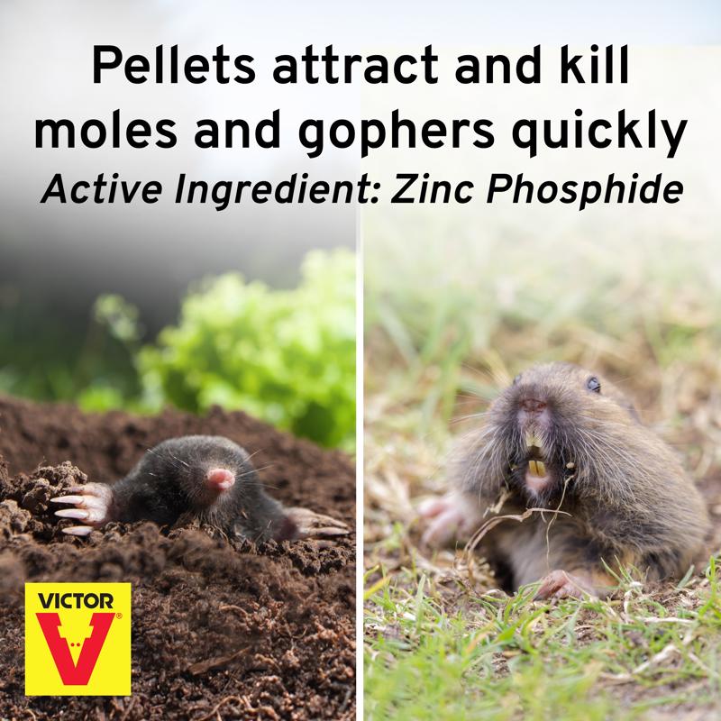 Victor Toxic Poison Peanuts Pellets For Gophers and Moles 6 oz