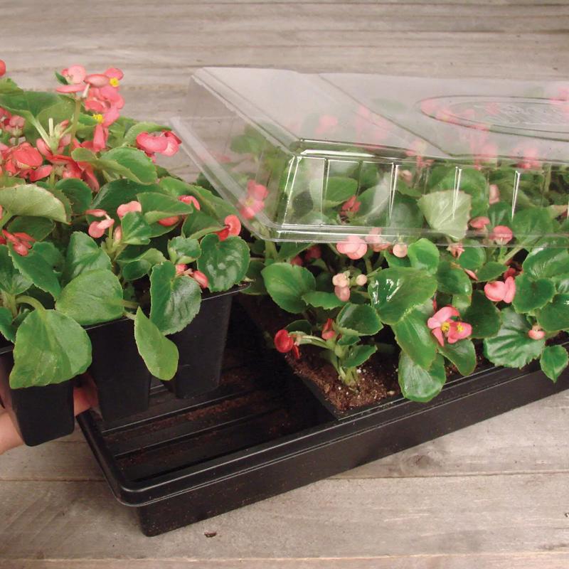 Jiffy Greenhouse 72 Cells 11 in. W X 22 in. L Seed Starting Kit