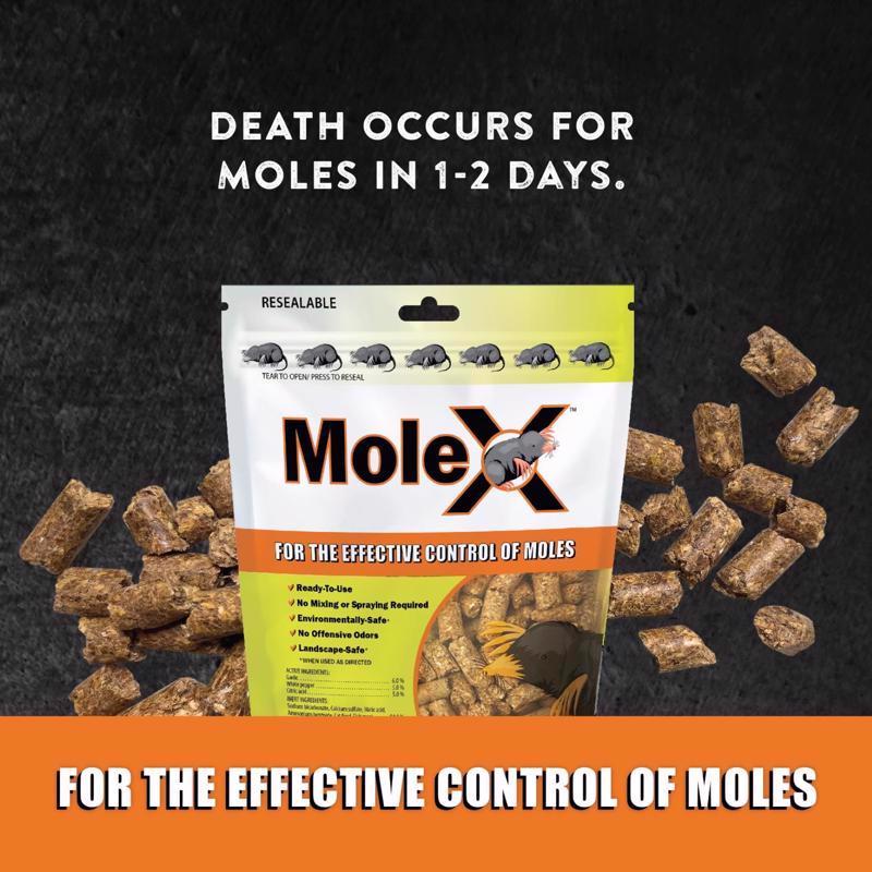MoleX Non-Toxic Bait Pellets For Moles 8 oz