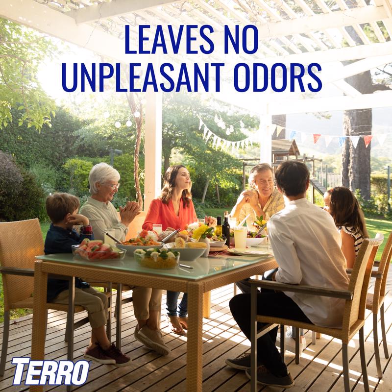 TERRO Carpenter Ant/Termite Killer Aerosol 16 oz