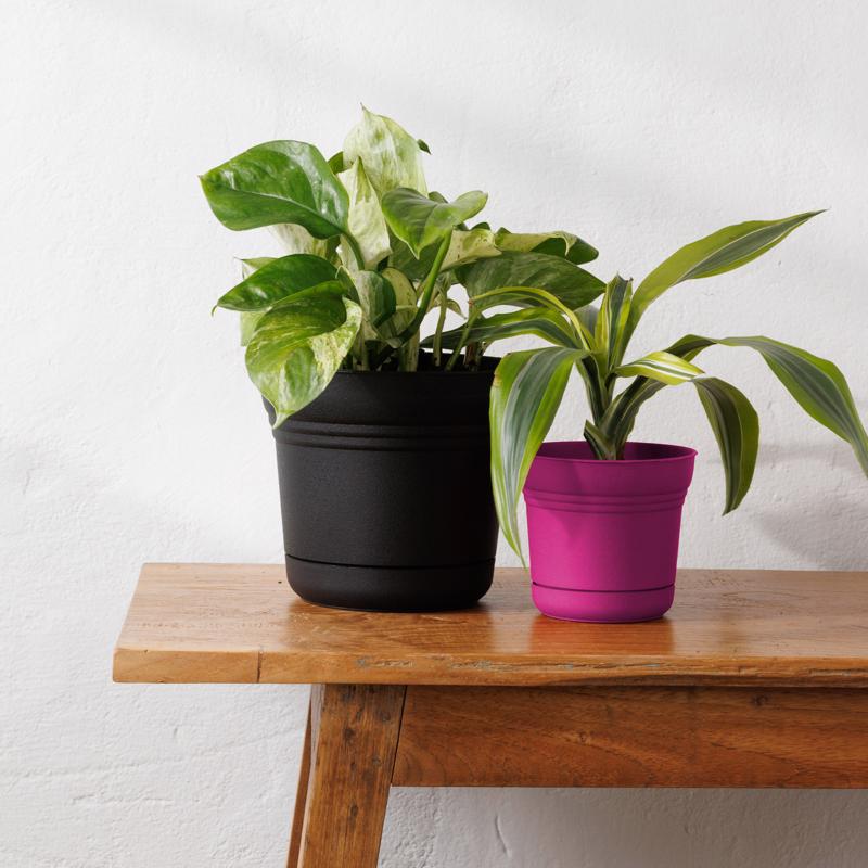 Bloem Saturn 6.5 in. H X 7.25 in. W Plastic Traditional Planter Black