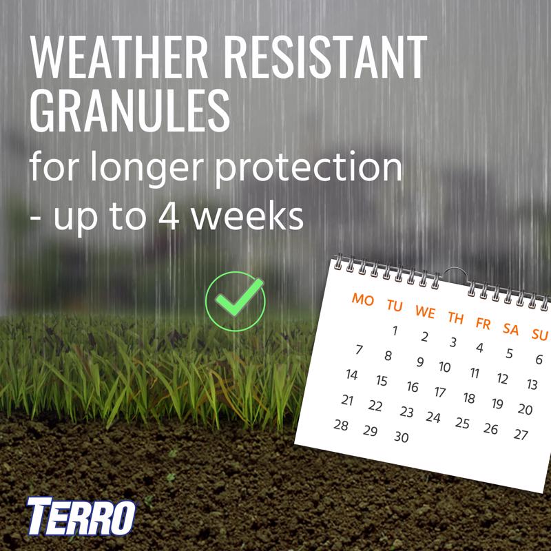TERRO Perimeter Ant Bait 2 lb