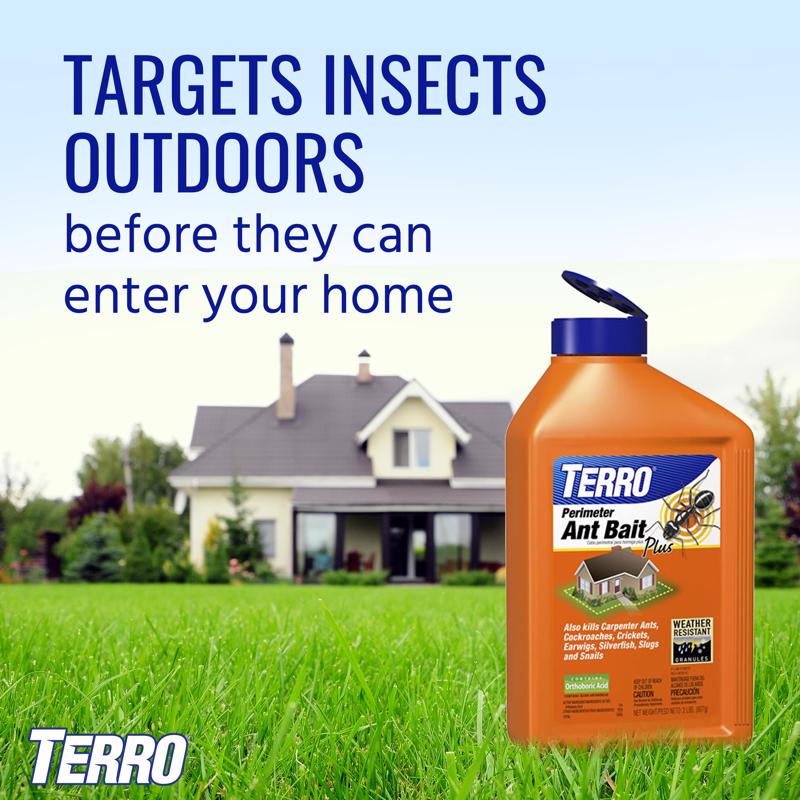 TERRO Perimeter Ant Bait 2 lb