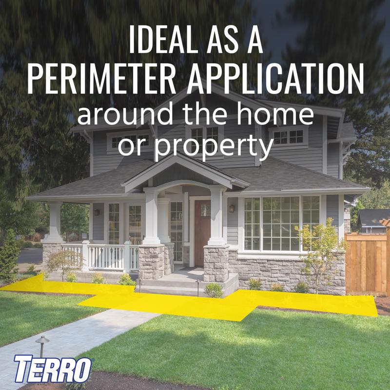 TERRO Perimeter Ant Bait 2 lb